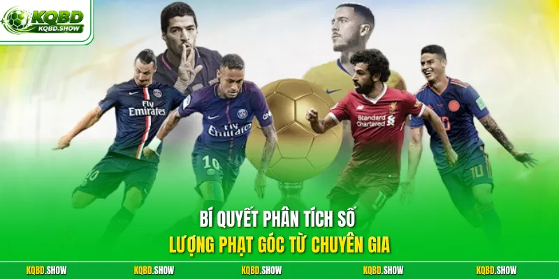 Bí quyết phân tích số lượng phạt góc từ chuyên gia