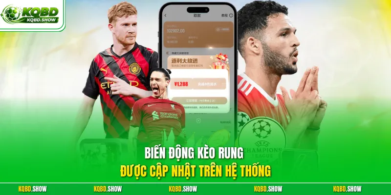 Biến động kèo rung được cập nhật trên hệ thống