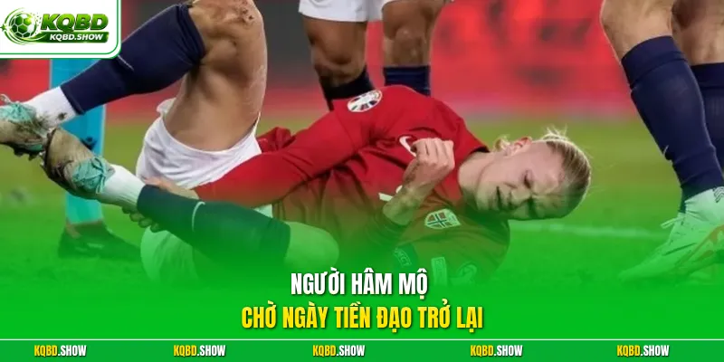 Người hâm mộ chờ ngày tiền đạo trở lại